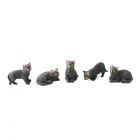 DA010 - 5 Black Cats