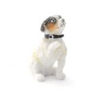 E7334 - Fergie the Jack Russell Terrier