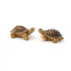 E9215 - Terry & Jerry Tortoises