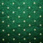 CAPG44 - Ivy Green Carpet with Gold Stars