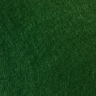 CAWG44 - Ivy Green Wool Mix Carpet