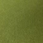 CAWG48 - Olive Green Carpet or Lawn