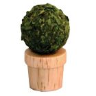 D2446 - Small Topiary