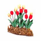 D4132 - Bed of Tulips