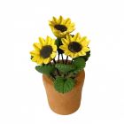 D4202 - Yellow Flowers in a Terracotta Pot