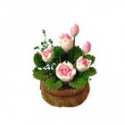 D4207 - Pink Roses in a Half Moon Tub
