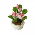 D4212 - Pink Roses in a White Pot