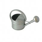 D4221 - Silver Watering Can