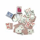 D4258 - Two Packs of Playing Cards