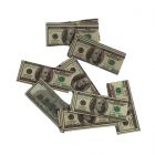 D4310 - Dollar Bill Notes - Money