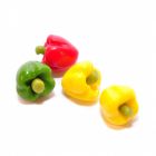 D5009 - Peppers (pk4)