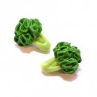 D5011 - Heads of Broccoli (pair)