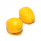 D5022 - 1:12 Pair of Lemons