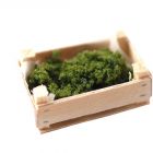 DM-F76 - Boxed Broccoli