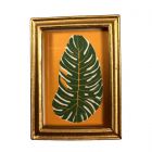 MC609 - Picture of tropical leaf on yellow background 