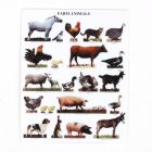 MS125 - Poster- Farm Animals