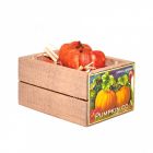 MS575 - Crate of Pumpkins