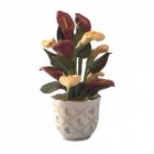 RP14335 - Porcelain Flowerpot with Plant