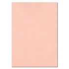 R035 - Pink Wallpaper 