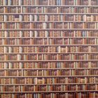 E3596 - Traditional Bookcase Wallpaper