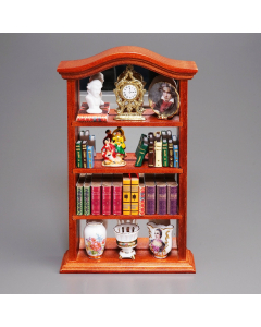 Book Cabinet with Mirrored Back