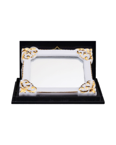 Gold trimmed White Mirror