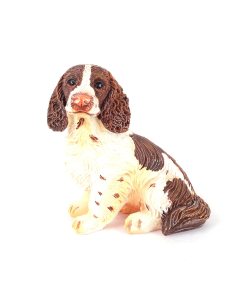 DA007 - Sitting Springer Spaniel Dog