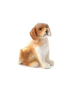 E5007 - Scoobie the Brown & White Pup