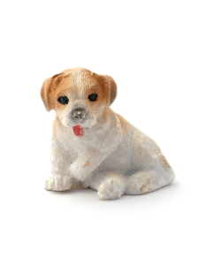 E5042 - Poppy the White & Brown Pup