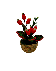 Pine Cone House Plant In Basket