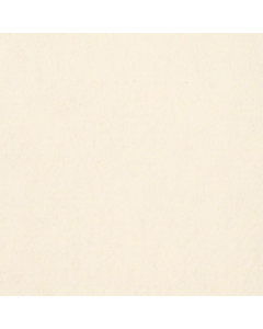 Natural Light Cream Soft Cream Carpet