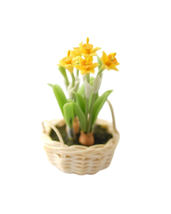 Daffodils In Basket