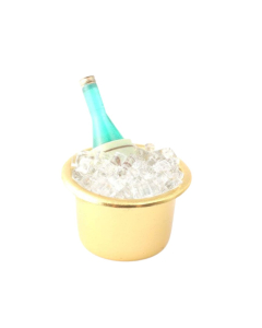 Champagne and Ice Bucket