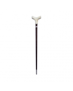 D2479 - Walking Cane