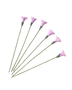 Single Mauve Daisies- Pack of 6