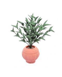 D4161 - Potted Ficus