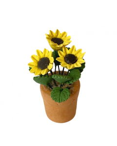 D4202 - Yellow Flowers in a Terracotta Pot
