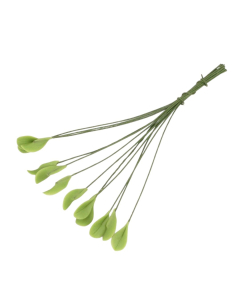 Single Leaf, Pack of 12