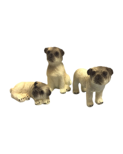 Pug Dog, Pack of 3