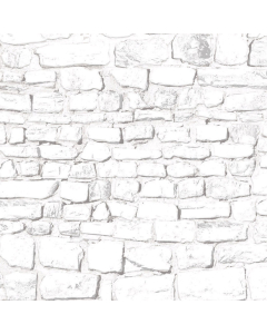 DIY798C - Embossed Whitewashed Stone Wall