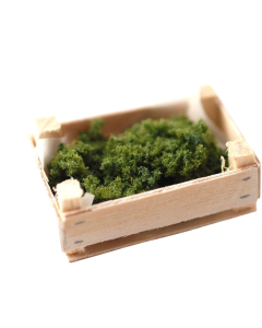 Boxed Broccoli