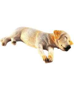 Ben The Sleepy Labrador