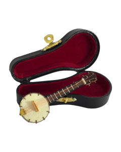 Banjo In Case