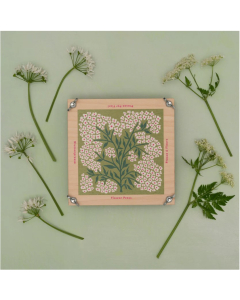 Standard Size 'Forget Me Not' Press (Discontinued)