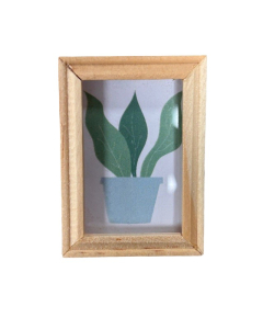 Picture of Succulent In Pot (Discontinued)