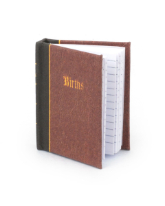 MDB073 - Church Register of Births