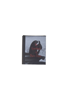 Hunchback of Notre Dame (Discontinued)
