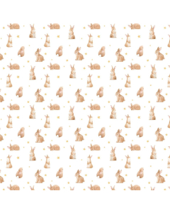 Rabbit Wallpaper