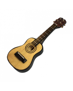 Acoustic Guitar
