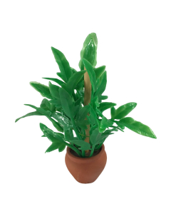 Plant In 'terracotta' Pot